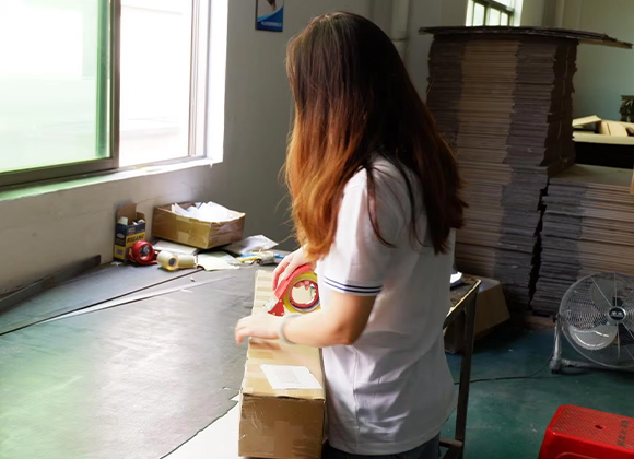 <em><strong>Step 9</strong></em>